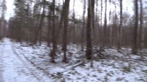 ОХОТА НА ЗАЙЦА 2021/ С РУССКОЙ ГОНЧЕЙ/К АЛЬТЕ ПОДКЛЮЧИЛАСЬ СОБАКА