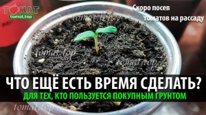 Что ещё есть время сделать? Для тех, кто пользуется покупным грунтом.