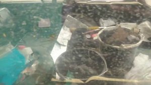 Троит двигатель. Ваз 2104. Нет давления в цилиндре.