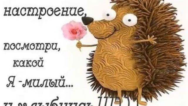 Мое слайд-шоу юмор 2018