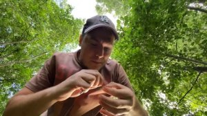 ЛОВЛЮ РЫБУ НА САМОДЕЛЬНУЮ УДОЧКУ