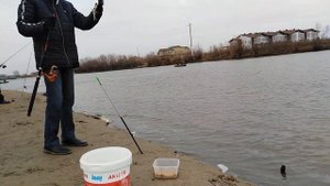 Густера/Тарашка. Ловля белой рыбы Густеры. Зимняя рыбалка по открытой воде.
