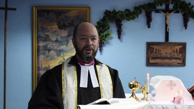 Новорожденные младенцы смотреть онлайн