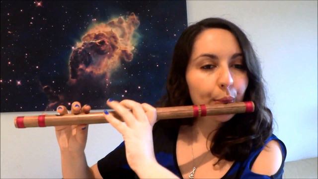 Dragon Ball Z : Tapion theme - Flute cover - Leyanha смотреть онлайн