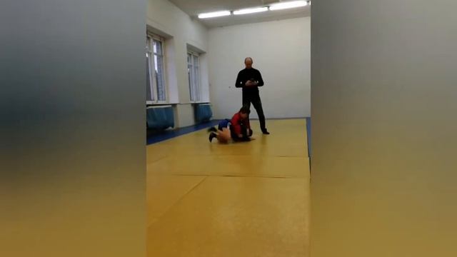 Новогодний турнир Кострома. Боевое Самбо.