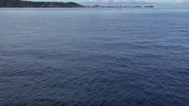 Ferry from Papeete, Tahiti to Moorea (Spinner dolphin makes an appearance) French Polynesia смотреть онлайн