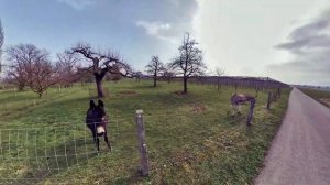 OneWheel ride around Grenchen, Switzerland