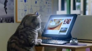 Whiskas К.Т.У Все части