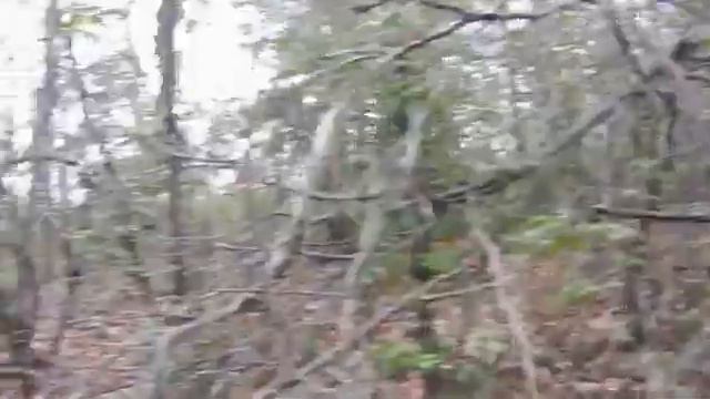 How to build a log cabin - watch as we go from dream to reality. смотреть онлайн