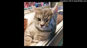 Gayazov$ Brother$ - До Встречи На Танцполе (Speed Up)