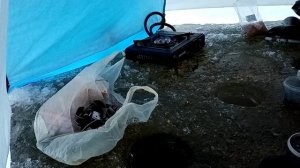 Рыбалка декабрь 2021