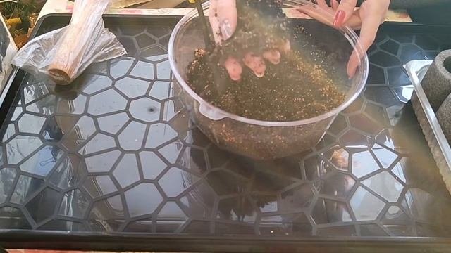 Торфяные стаканчики - замена торфяным таблеткам своими руками