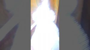 поделка снежная королева и сани к новому году