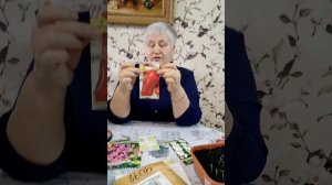 Сладкий перец Фатима