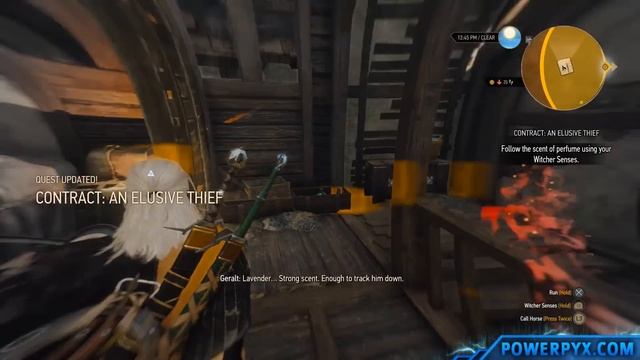 The Witcher 3 Wild Hunt - The Doppler Effect Trophy / Achievement Guide (An Elusive Thief Quest) смотреть онлайн