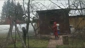 опрыскивание деревьев Дмитровский район