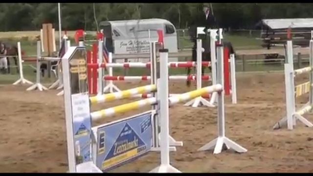 продажа лошадей кобыла 8 лет конный рынок