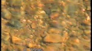 Державинск (1996)