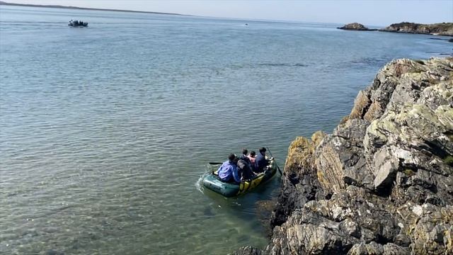 222. У НАС ГОСТИ. смотреть онлайн