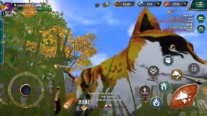 открываю сундук чемпиона в игре Wolf taeels