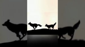 Балто 5