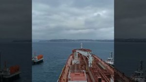 В дальних краях ремесло кормит.