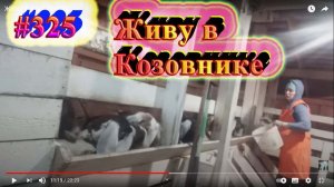 ЖИВУ В КОЗОВНИКЕ