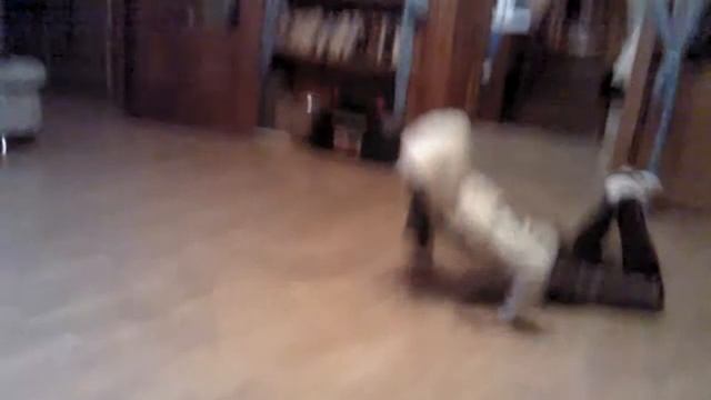 Брейкданс по русски смотреть онлайн