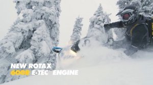 The 2019 Ski-Doo Summit & Freeride Snowmobiles