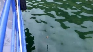 Рыбалка на Байкале. [ Рыбалка на севере Байкала 2020. ]