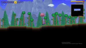 Сид на Сапоги хождения по воде в Terraria!!!))