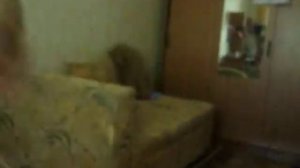 Зажигательный танец попой