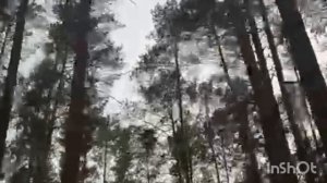 здравствуй лето