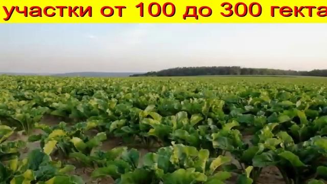 сколько стоит аренда 1 га земли Тюмень Тюменской