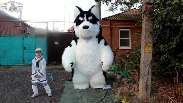 Презентация новой сказки Того и Мия смотреть онлайн