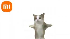 КОТИК ПОЁТ ЗВОНКИ РАЗНЫХ МОДЕЛЕЙ