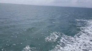 День 14. С Сураттхани до Самуи. Таиланд. 10 января 2019г