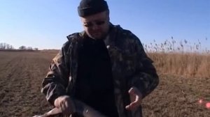 Охота на фазана в Астраханской области