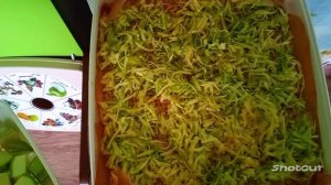 Кабачки сушить лучше кубиками в сушилке.