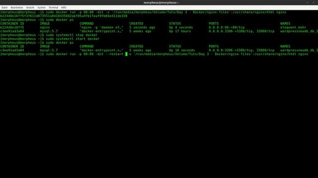 Docker Tutorial #15 - Container automatisch starten lassen смотреть онлайн