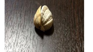 Лебедь из ракушек.Просто и быстро.