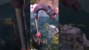 Gardena Automatic 4700/2 Test