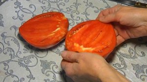 Томат Старинное сердце Акви Терме. Тест спелых плодов.