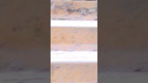 Канск заброшки