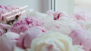 Хорошего вам настроения!