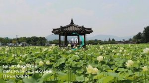 Квадратное дыхание 8-8-8-8. Антистресс, ясность, энергия, ресурс.