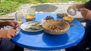 SUB) 직접 심고 수확해서 먹는 풍요로운 시골살이??| 시골생활 | 힐링 | 브이로그 | 시골정원 | 주말농장 | vlog | Korean Countryside life |