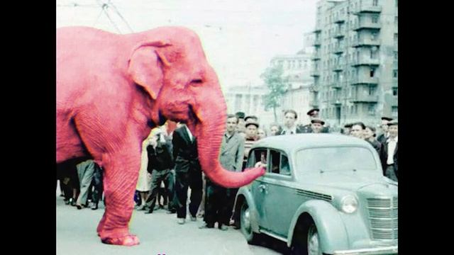 Группа "Клубничный Слон", СЛИВОЧНЫЙ ПРИВКУС - Сливки с Клубникой смотреть онлайн