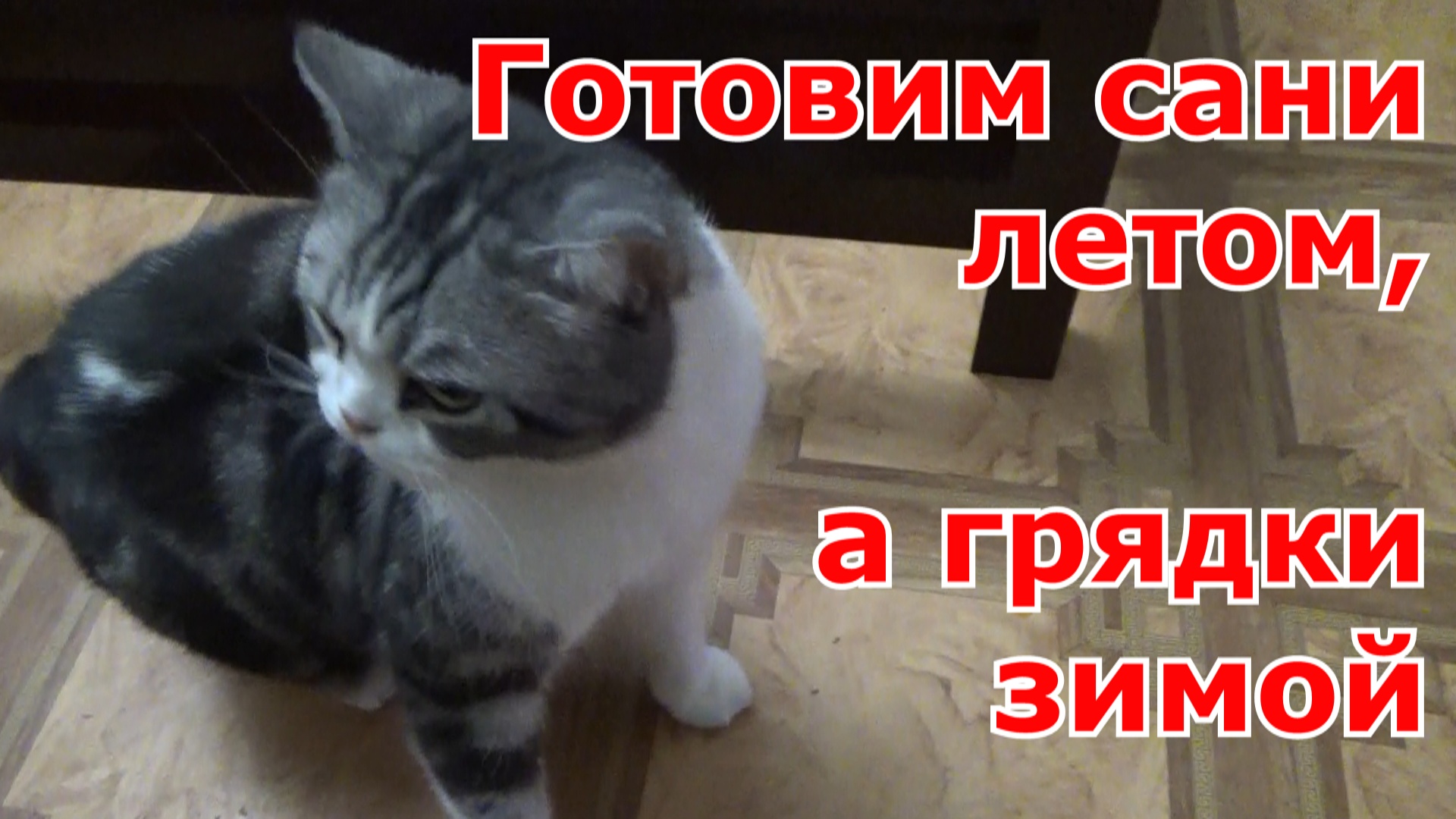 Грядки оцинкованные с полимерным покрытием, распаковка, сборка. Подготовка к новому дачному сезону.