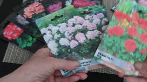 Обзор семян пеларгоний из Озона